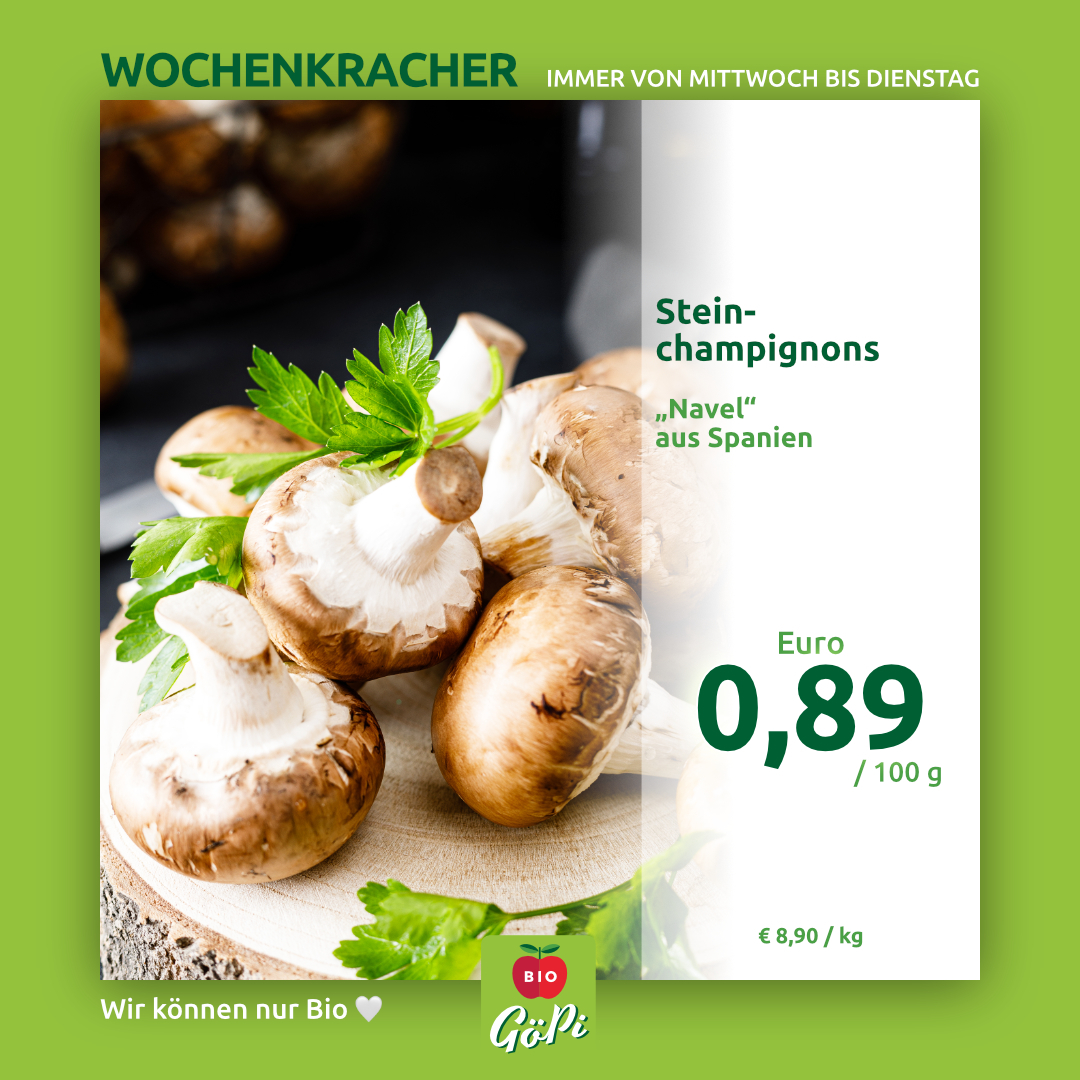 Wochenkracher 2